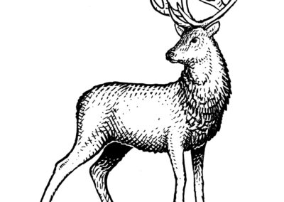 Hotel Jagdhof – Arabella